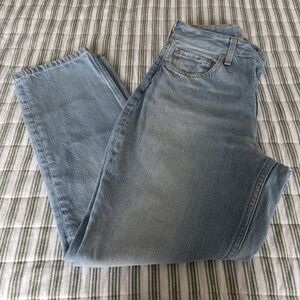 Everlane Sky Blue Ankle Jeans